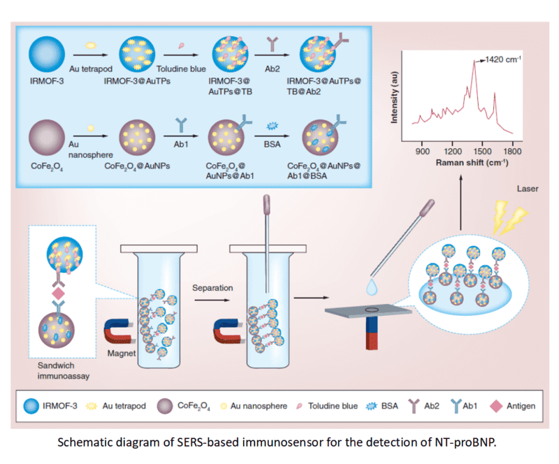 Applications of CoFe2O4 Nanoparticles in Biomedicine